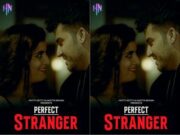 PERFECT STRANGER